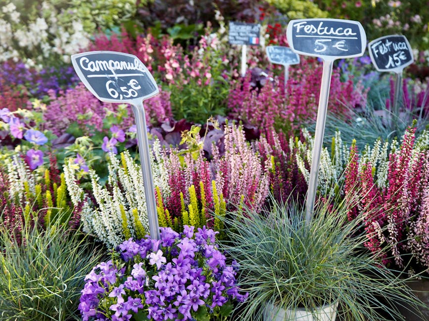 A vibrant garden scene featuring a variety of colorful flowering plants and foliage. In the foreground, purple petunias cascade from a pot, with clusters of purple, pink, and white heathers behind the